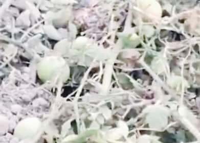 பிரதமர் மோடி