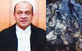 நீதித் துறை