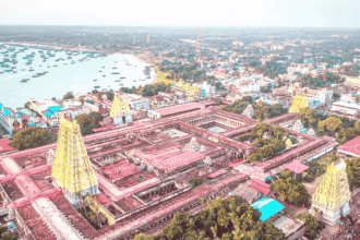 ஞாயிறு மலர்