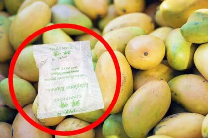 மாம்பழங்கள்