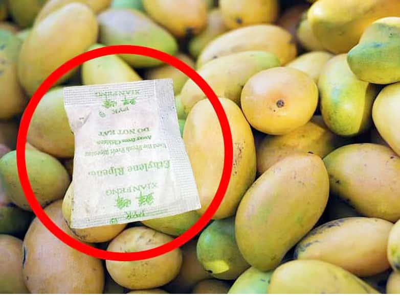 தமிழ்நாடு