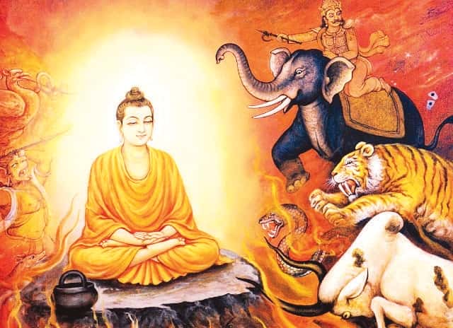 ஆசிரியர் விடையளிக்கிறார், ஞாயிறு மலர்