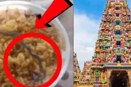 வேலைத்திட்ட ஊதியம்