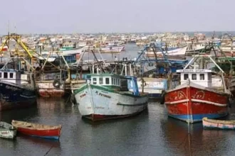அரசு, தமிழ்நாடு
