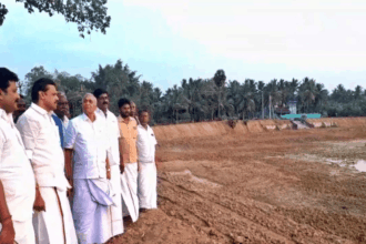 அரசு, ஆசிரியர், தமிழ்நாடு