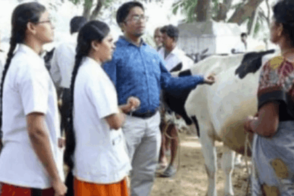 பிளஸ் 2 மதிப்பெண்