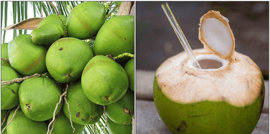 மருத்துவம்
