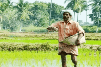இந்தியா