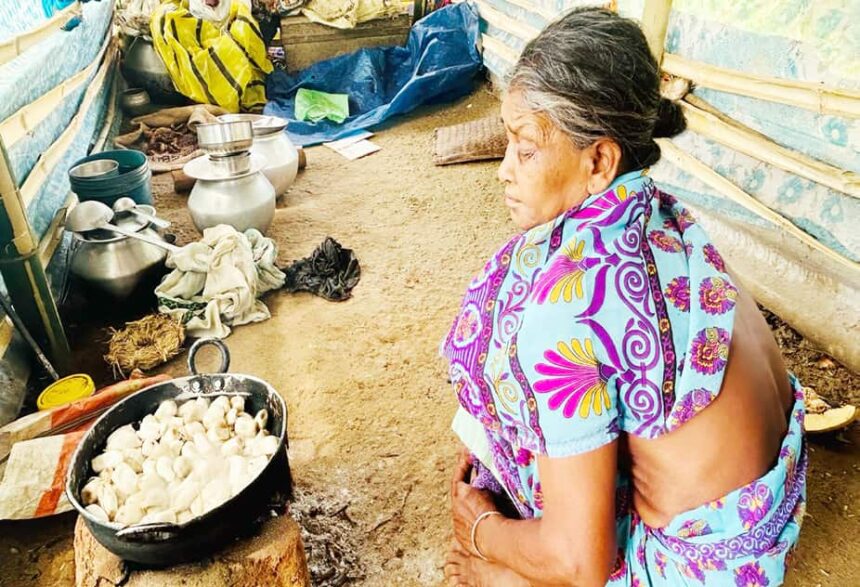 கட்டுரை, ஞாயிறு மலர்