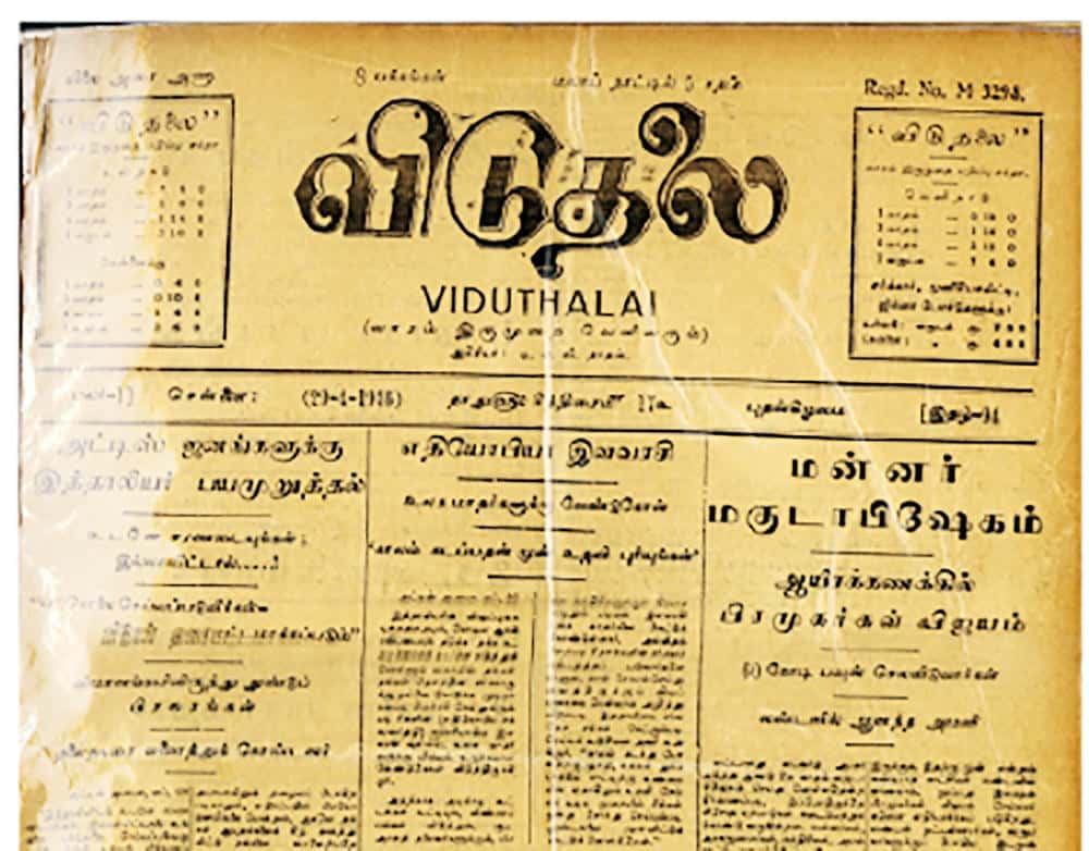 கட்டுரை, ஞாயிறு மலர்