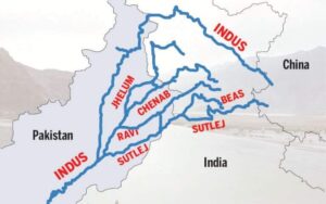 கட்டுரை, ஞாயிறு மலர்