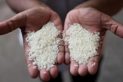 கடும் எதிர்ப்பு