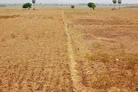 தமிழ்நாடு
