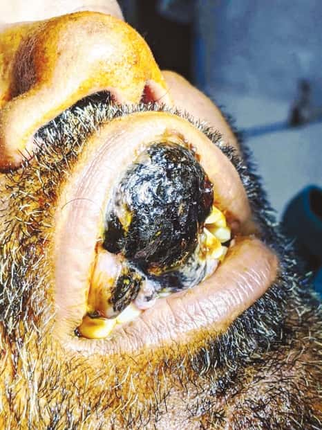 கட்டுரை, தந்தை பெரியார்