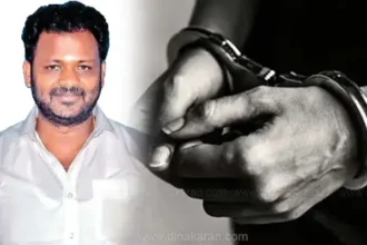 அரசு, தமிழ்நாடு