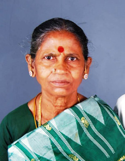 சமூக அறிவியல் ஊற்று