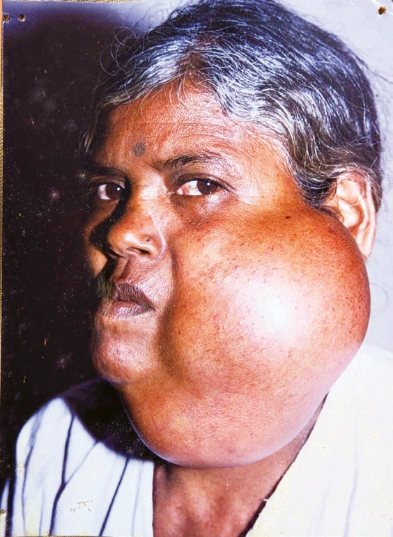 கட்டுரை, ஞாயிறு மலர்