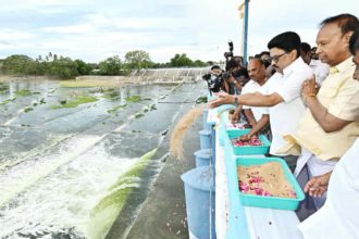 அரசு, தமிழ்நாடு