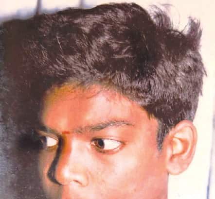 கட்டுரை, ஞாயிறு மலர்