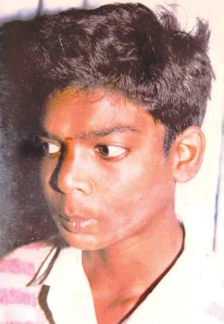 கட்டுரை, ஞாயிறு மலர்