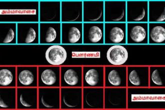 தமிழ்நாடு