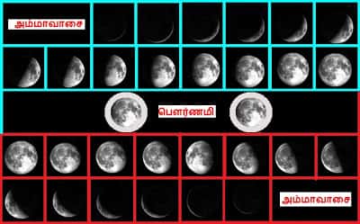 தமிழ்நாடு