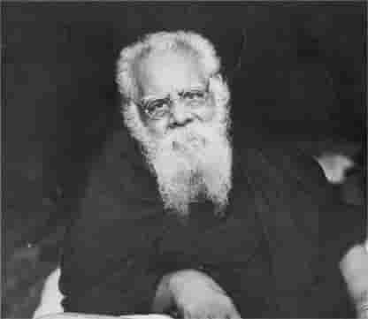 சிறப்புக் கட்டுரை