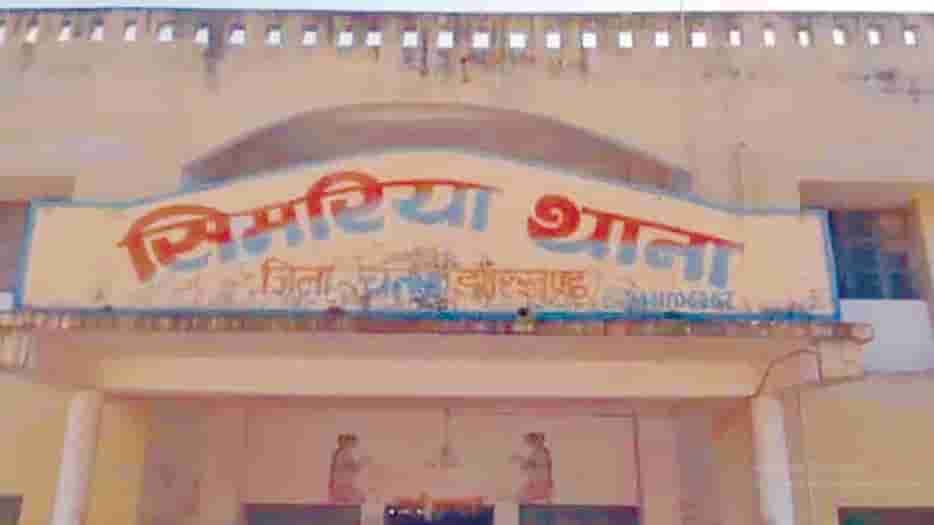 சிறப்புக் கட்டுரை, ஞாயிறு மலர்