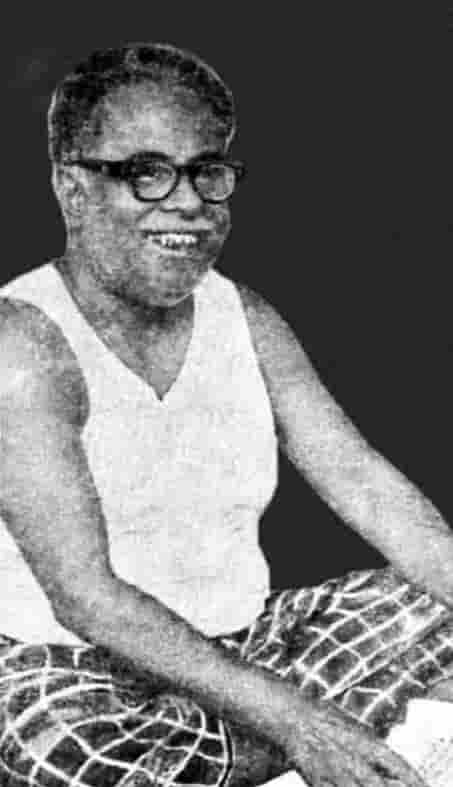 கட்டுரை, ஞாயிறு மலர்