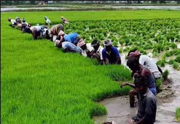 தமிழ்நாடு