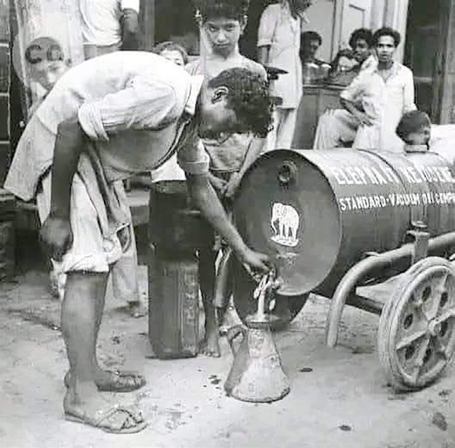 ஞாயிறு மலர்