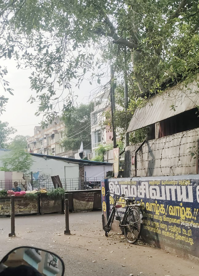 இந்தியா, ஞாயிறு மலர்