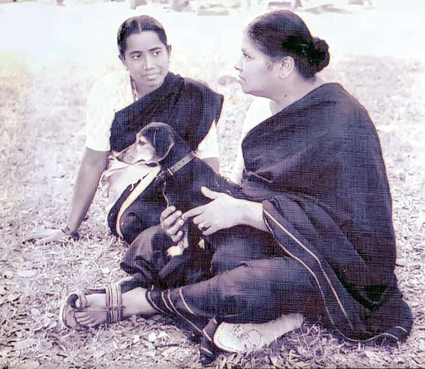 கட்டுரை, ஞாயிறு மலர்