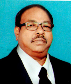 கட்டுரை, ஞாயிறு மலர்