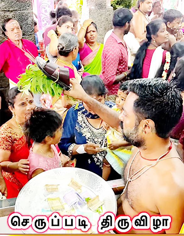 கட்டுரை, ஞாயிறு மலர்