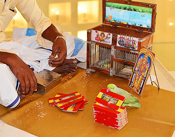 கட்டுரை, ஞாயிறு மலர்