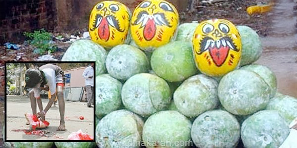 ஞாயிறு மலர்