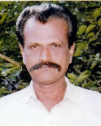 விடுதலை
