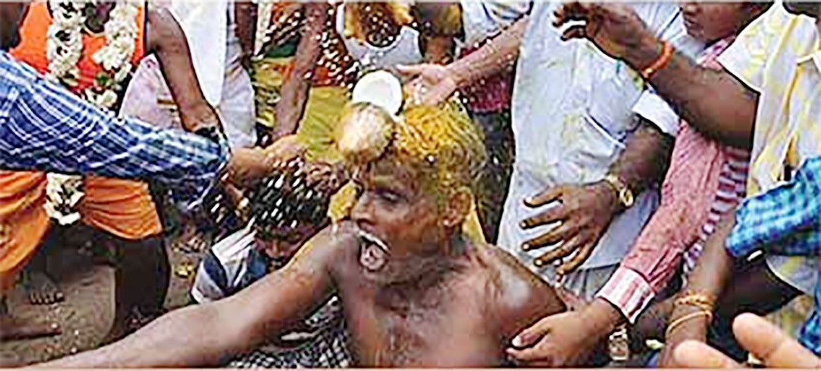 கட்டுரை, ஞாயிறு மலர்