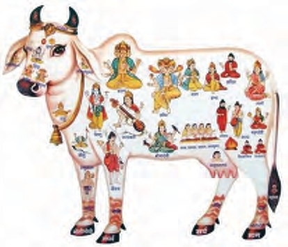 சிறப்புக் கட்டுரை