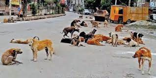 இந்தியா