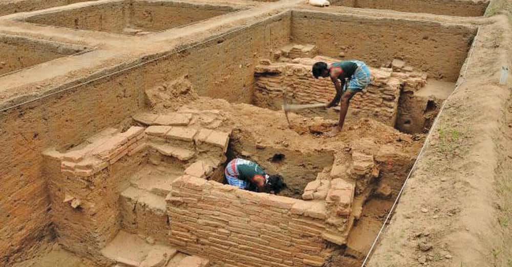 ஞாயிறு மலர்