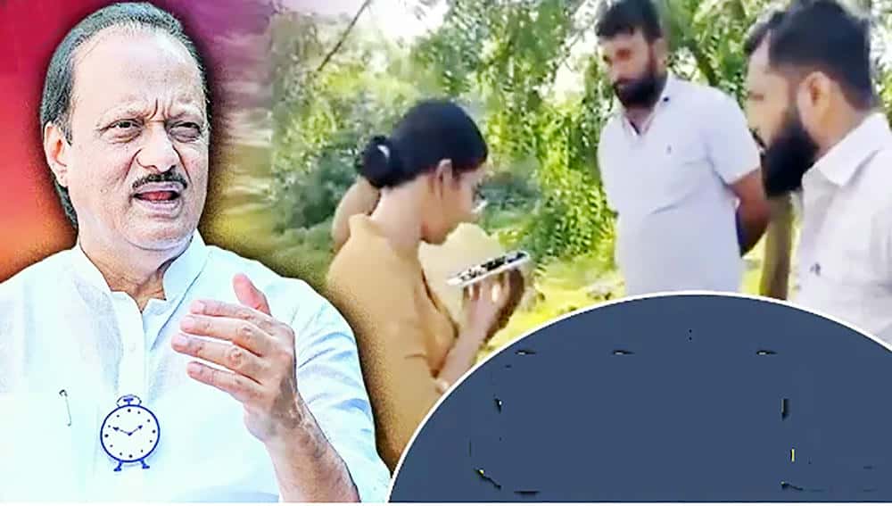 கட்டுரை, ஞாயிறு மலர்