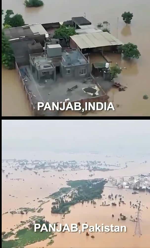 கட்டுரை, ஞாயிறு மலர்