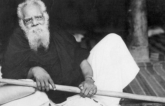 சிறப்புக் கட்டுரை