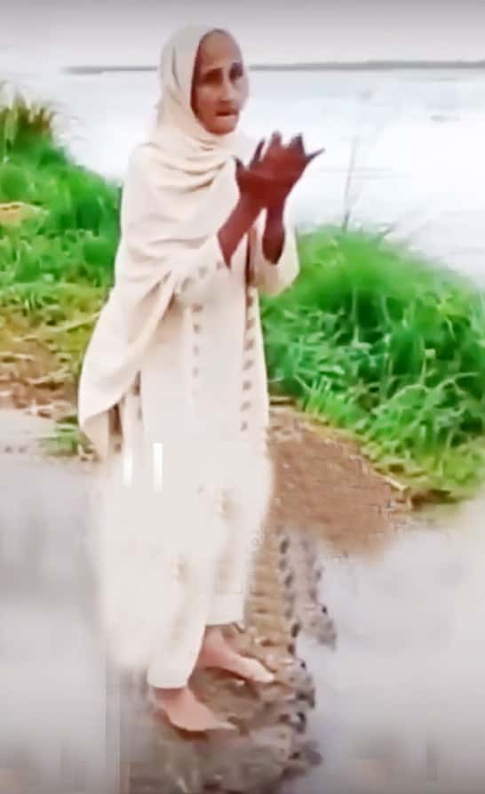கட்டுரை, ஞாயிறு மலர்