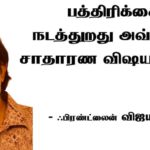 கட்டுரை, ஞாயிறு மலர்