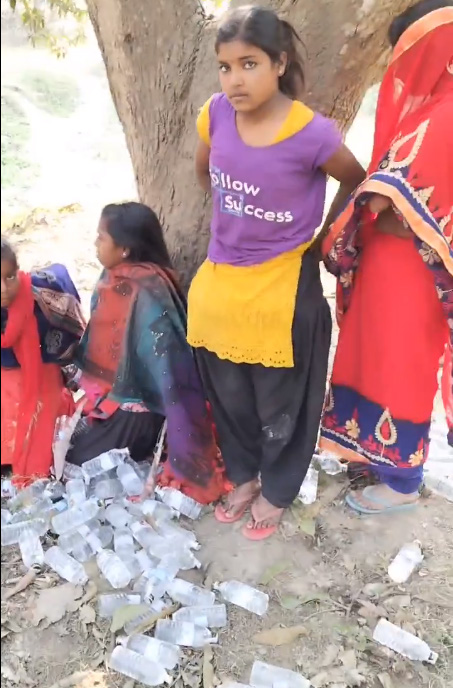 கட்டுரை, ஞாயிறு மலர்