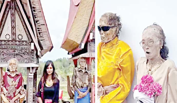 இந்தியா