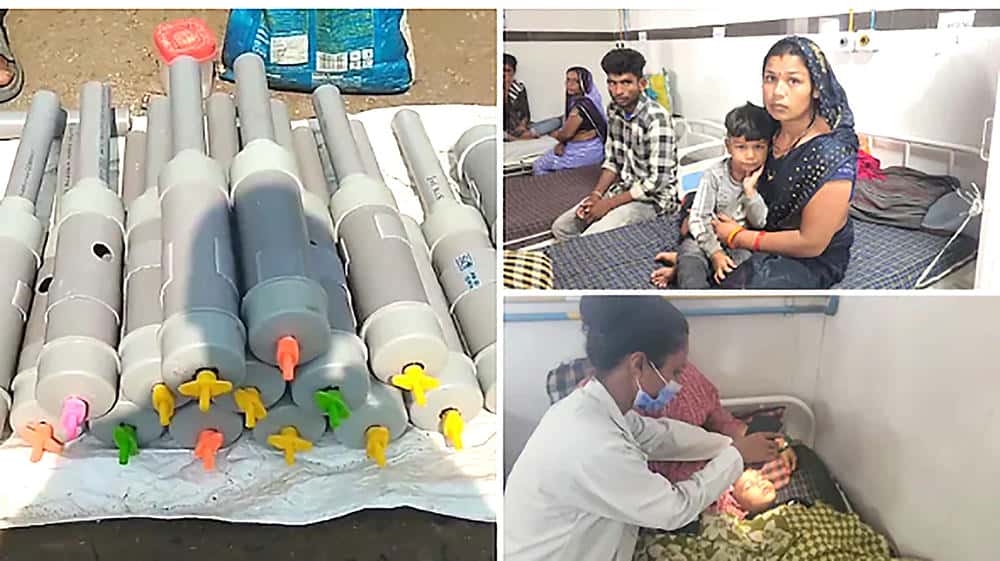 ஞாயிறு மலர்